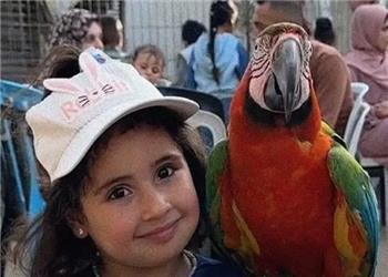 باغوحش آوارگان در غزه