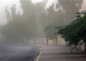 وزش باد شدید و رگبار در 5 استان