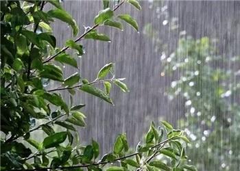 بارش پراکنده و وزش باد شدید در برخی نقاط کشور / افزایش نسبی دما در نیمه شمالی